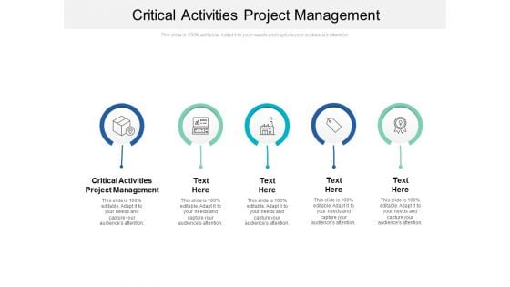 Critical Activities Project Management Ppt PowerPoint Presentation Professional Summary Cpb