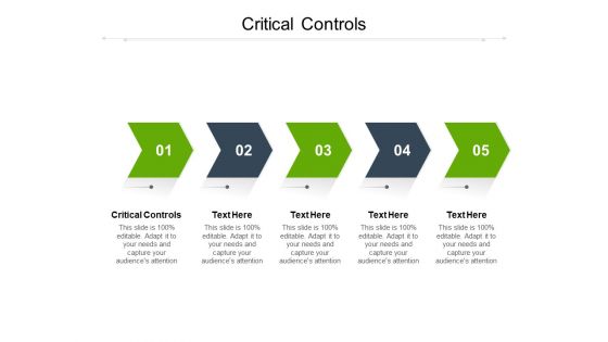 Critical Controls Ppt PowerPoint Presentation Layout Cpb