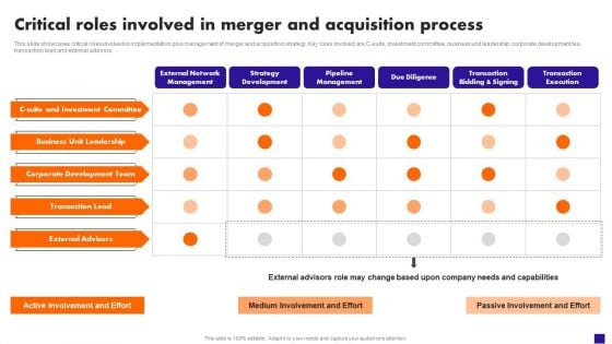 Critical Roles Involved In Merger And Acquisition Process Elements PDF