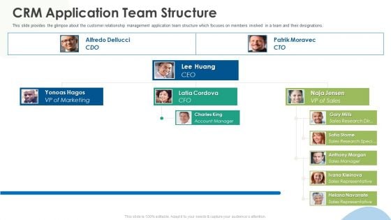 Crm Implementation Investor Funding Crm Application Team Structure Infographics PDF