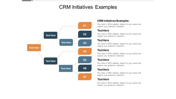 Crm Initiatives Examples Ppt PowerPoint Presentation Slides Tips Cpb Pdf