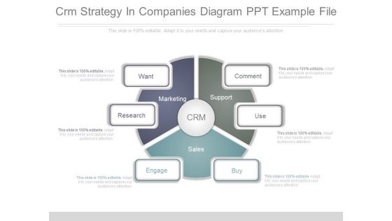 Crm Strategy In Companies Diagram Ppt Example File