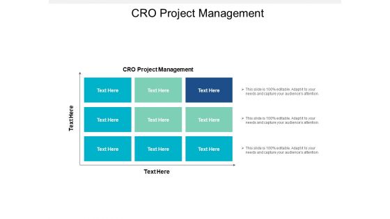 Cro Project Management Ppt PowerPoint Presentation Icon Tips Cpb