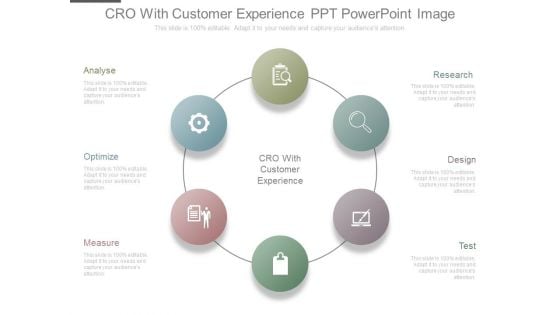 Cro With Customer Experience Ppt Powerpoint Image
