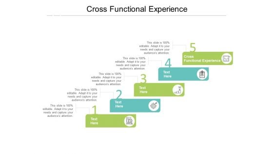 Cross Functional Experience Ppt PowerPoint Presentation Portfolio Background Images Cpb