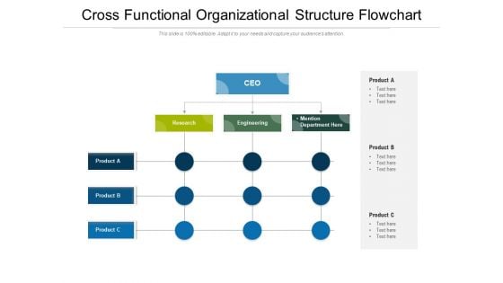 Cross Functional Organizational Structure Flowchart Ppt PowerPoint Presentation Icon Portfolio PDF