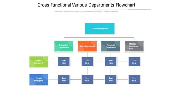 Cross Functional Various Departments Flowchart Ppt PowerPoint Presentation File Background Image PDF