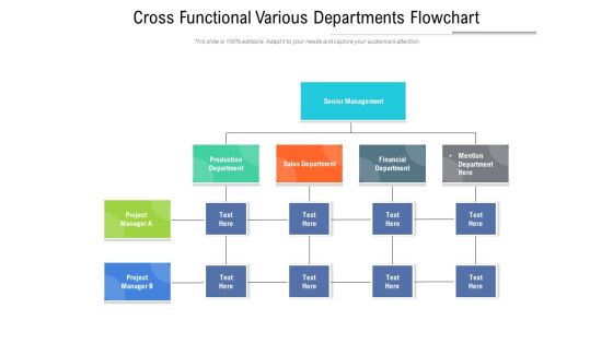 Cross Functional Various Departments Flowchart Ppt PowerPoint Presentation File Background Image PDF