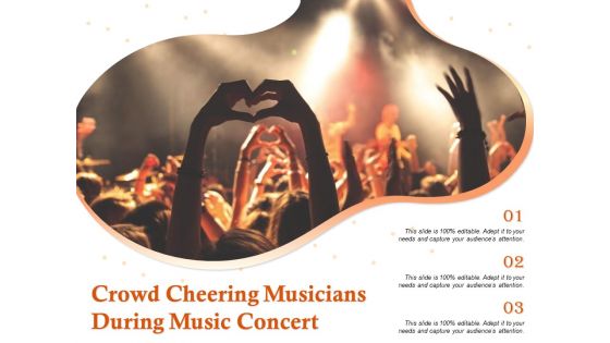 Crowd Cheering Musicians During Music Concert Ppt PowerPoint Presentation Layouts Backgrounds PDF