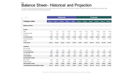Crowd Sourced Equity Funding Pitch Deck Balance Sheet Historical And Projection Summary PDF