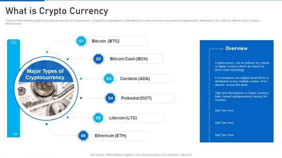 Cryptocurrency Investment Playbook What Is Crypto Currency Infographics PDF