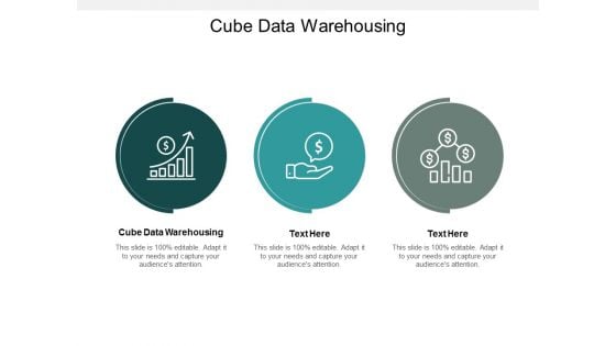 Cube Data Warehousing Ppt PowerPoint Presentation Professional Display Cpb
