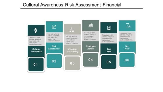 Cultural Awareness Risk Assessment Financial Accounting Employee Benefit Ppt PowerPoint Presentation Professional Background Images
