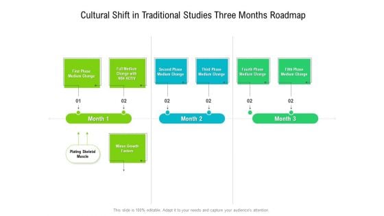 Cultural Shift In Traditional Studies Three Months Roadmap Template