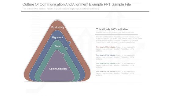 Culture Of Communication And Alignment Example Ppt Sample File