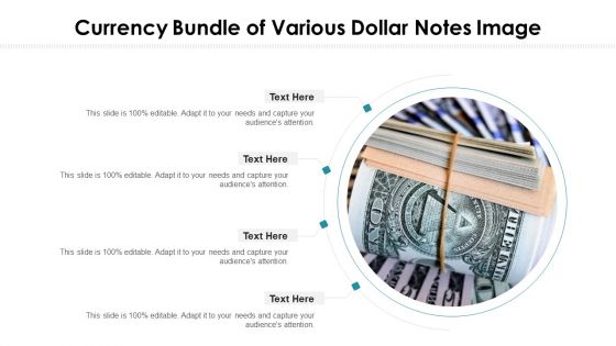 Currency Bundle Of Various Dollar Notes Image Ppt PowerPoint Presentation File Good PDF