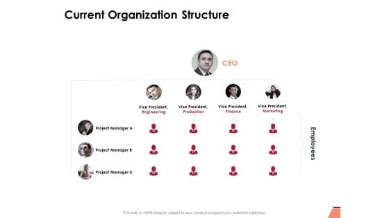 Current Organization Structure Ppt PowerPoint Presentation Inspiration Deck