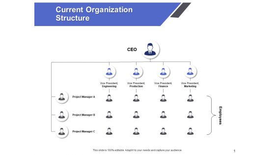 Current Organization Structure Ppt PowerPoint Presentation Model Shapes