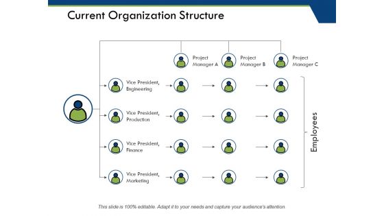 Current Organization Structure Ppt PowerPoint Presentation Show Vector