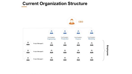 Current Organization Structure Ppt PowerPoint Presentation Styles Ideas