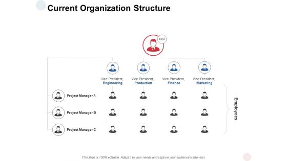 Current Organization Structure Ppt PowerPoint Presentation Styles Model