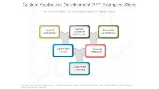 Custom Application Development Ppt Examples Slides