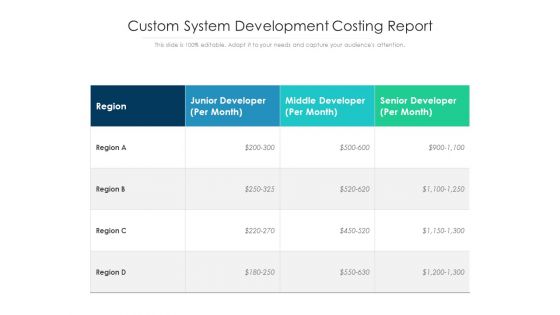 Custom System Development Costing Report Ppt PowerPoint Presentation Professional Guide PDF
