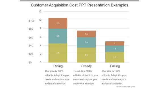 Customer Acquisition Cost Ppt Presentation Examples