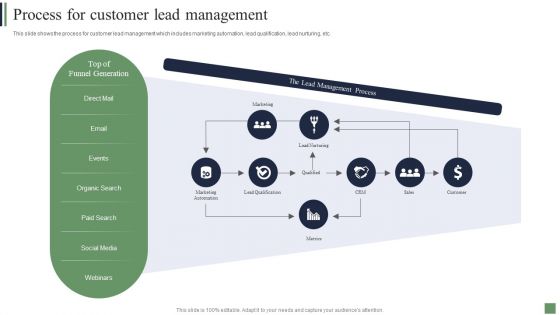 Customer Acquisition Strategies Process For Customer Lead Management Professional PDF