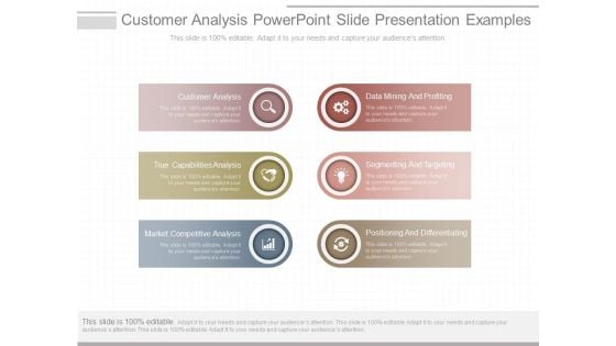 Customer Analysis Powerpoint Slide Presentation Examples