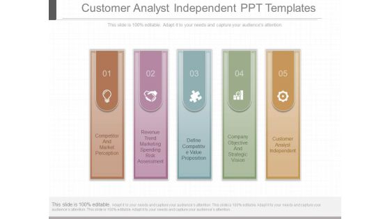 Customer Analyst Independent Ppt Templates
