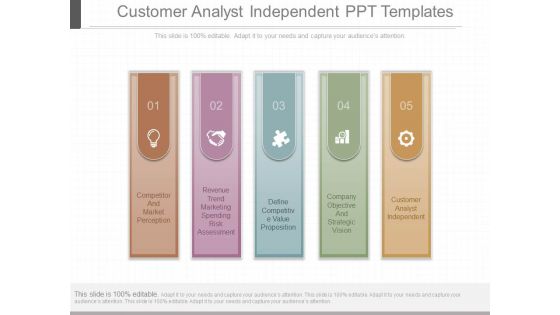 Customer Analyst Independent Ppt Templates