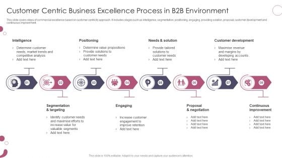 Customer Centric Business Excellence Process In B2b Environment Ppt Icon Elements PDF