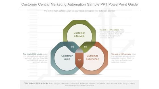 Customer Centric Marketing Automation Sample Ppt Powerpoint Guide