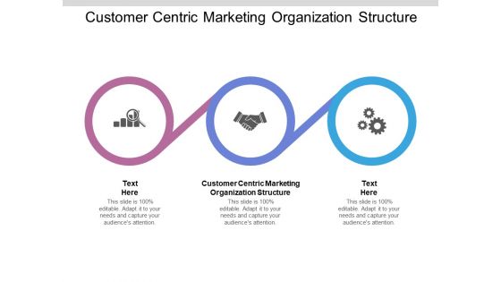 Customer Centric Marketing Organization Structure Ppt PowerPoint Presentation Portfolio Slide Cpb