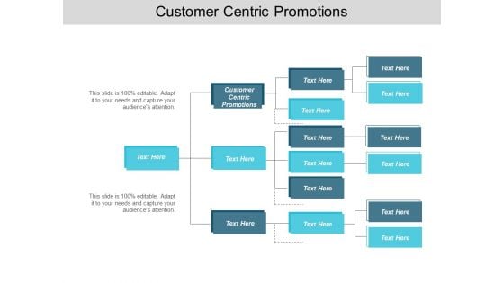 Customer Centric Promotions Ppt PowerPoint Presentation Slides Model Cpb