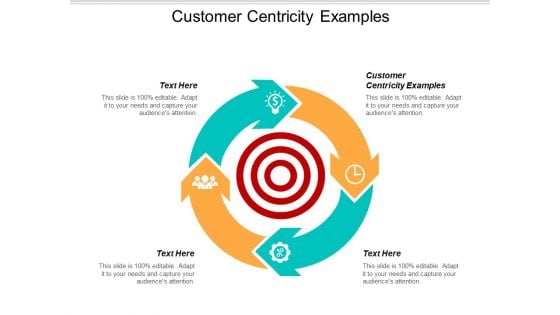 Customer Centricity Examples Ppt PowerPoint Presentation Icon Styles Cpb