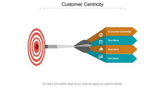 Customer Centricity Ppt PowerPoint Presentation Styles Graphics Download