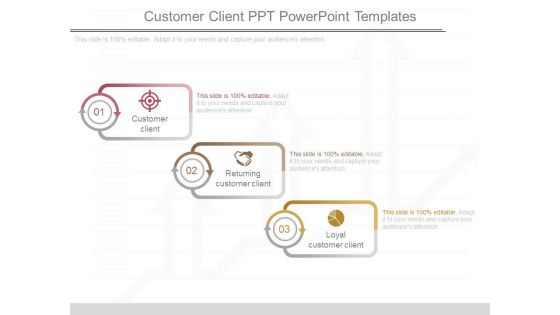 Customer Client Ppt Powerpoint Templates