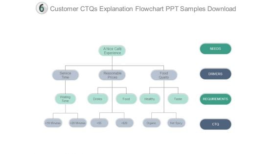 Customer Ctqs Explanation Flowchart Ppt Samples Download