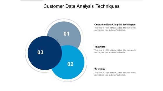 Customer Data Analysis Techniques Ppt PowerPoint Presentation Portfolio Graphics Pictures Cpb