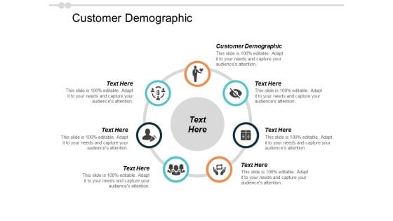 Customer Demographic Ppt PowerPoint Presentation Inspiration Tips Cpb
