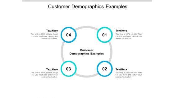 Customer Demographics Examples Ppt PowerPoint Presentation Inspiration Elements Cpb