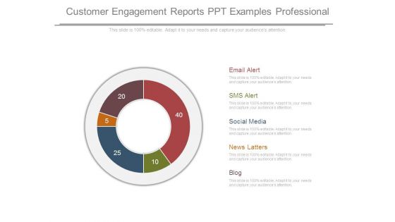 Customer Engagement Reports Ppt Examples Professional