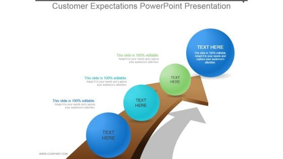 Customer Expectations Powerpoint Presentation