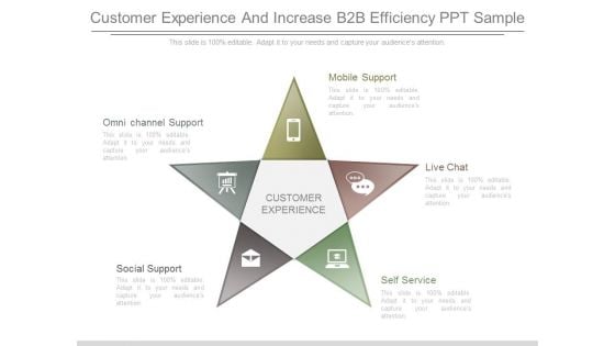 Customer Experience And Increase B2b Efficiency Ppt Sample