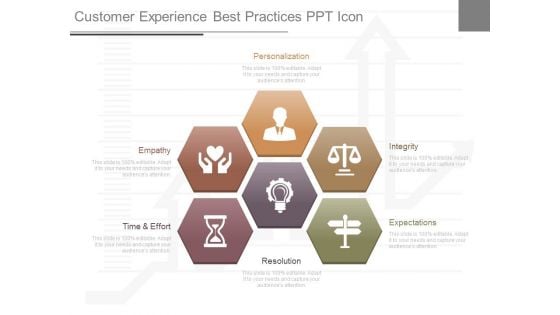 Customer Experience Best Practices Ppt Icon