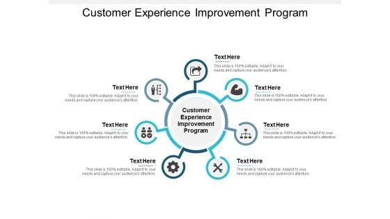 Customer Experience Improvement Program Ppt PowerPoint Presentation Model Gridlines Cpb