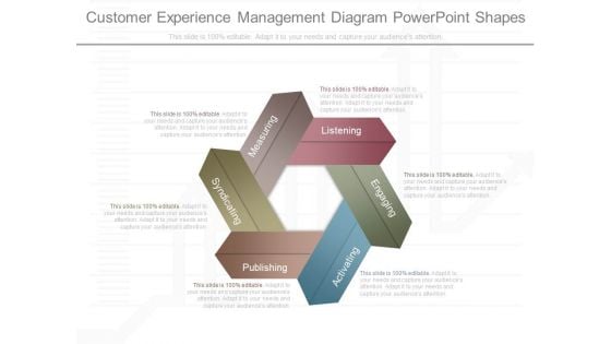 Customer Experience Management Diagram Powerpoint Shapes