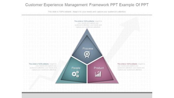 Customer Experience Management Framework Ppt Example Of Ppt